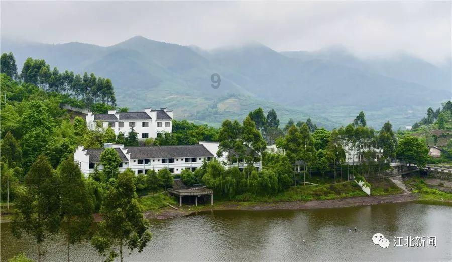 逗小猴开心系列211