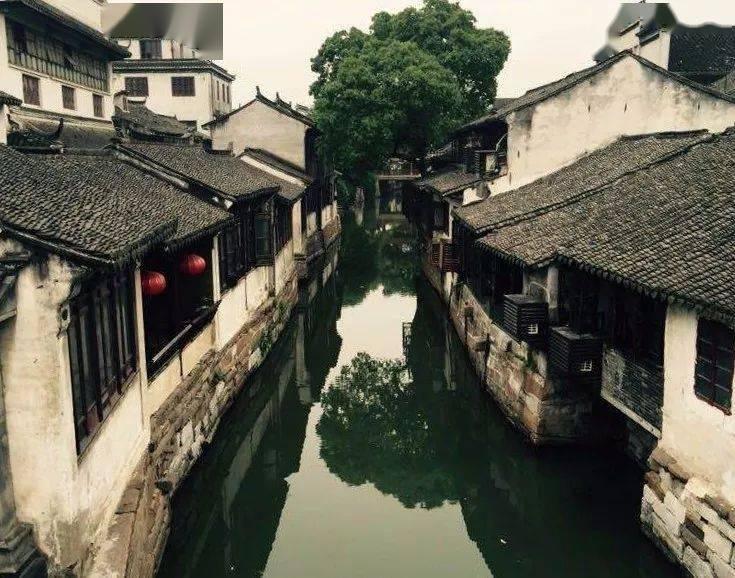 博物馆小偷