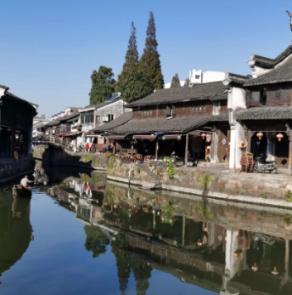 小长颈鹿逃离