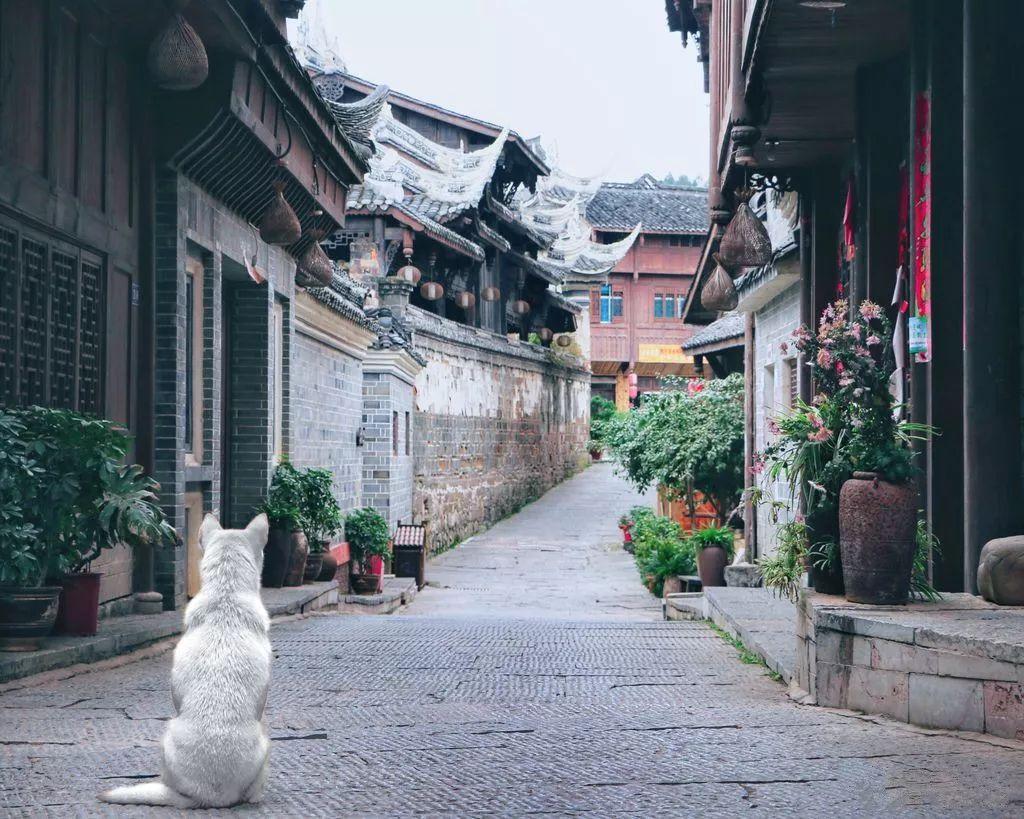 夏克立强调自己从未家暴，黄嘉千身上的伤是自己抓的